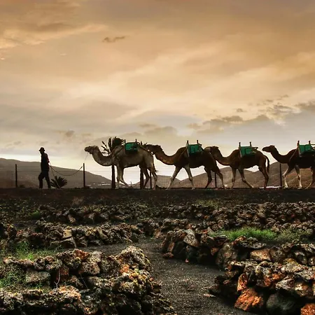 شقة Home2book Charming Teguise, Terrace